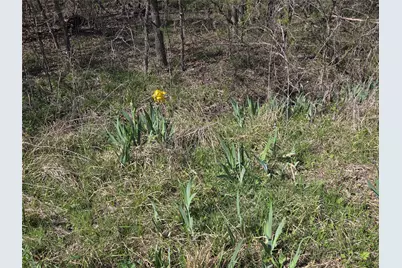 294 County Road 2809, Honey Grove, TX 75446 - Photo 20