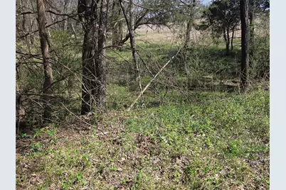 294 County Road 2809, Honey Grove, TX 75446 - Photo 16