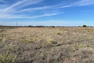 9776 Co Rd 258, Clyde, TX 79510 - Photo 22