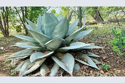 1122 4th Street, Graham, TX 76450 - Photo 26