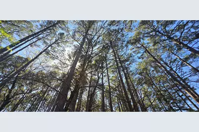 8300 Trophy Point, LaRue, TX 75770 - Photo 6