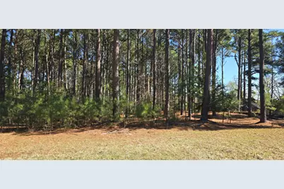 8300 Trophy Point, LaRue, TX 75770 - Photo 22