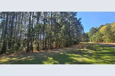 8300 Trophy Point, LaRue, TX 75770 - Photo 16