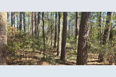 8300 Trophy Point, LaRue, TX 75770 - Photo 10