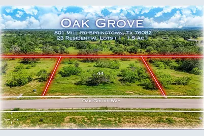 704 Slabs Way, Springtown, TX 76082 - Photo 4