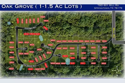 704 Slabs Way, Springtown, TX 76082 - Photo 10