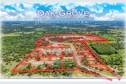 308 Jonny Boy Way, Springtown, TX 76082 - Photo 1