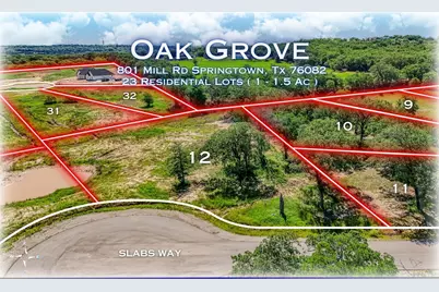 324 Jonny Boy Way, Springtown, TX 76082 - Photo 8