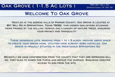 324 Jonny Boy Way, Springtown, TX 76082 - Photo 2