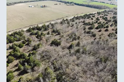 Tract 9 Farm To Market 1743, Honey Grove, TX 75446 - Photo 6