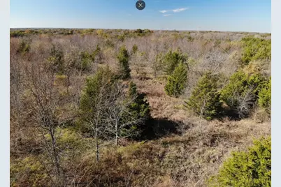 Tract 9 Farm To Market 1743, Honey Grove, TX 75446 - Photo 20