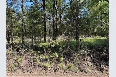 Tract 13 County Road 2951, Honey Grove, TX 75446 - Photo 4