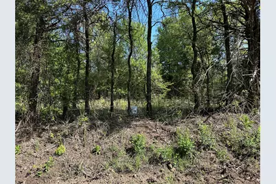 Tract 13 County Road 2951, Honey Grove, TX 75446 - Photo 1