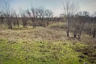 Lot 19 Reast Rd, Whitesboro, TX 76273 - Photo 1