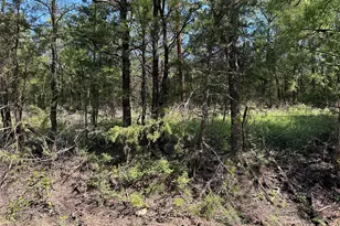 Tract 14 County Road 2951, Honey Grove, TX 75446 - Photo 1