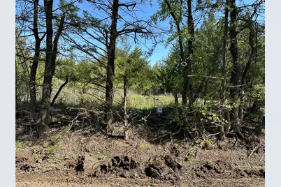 Tract 14 County Road 2951, Honey Grove, TX 75446 - Photo 2