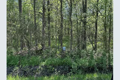 Tract 16 County Road 2960, Honey Grove, TX 75446 - Photo 2