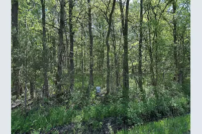 Tract 16 County Road 2960, Honey Grove, TX 75446 - Photo 4