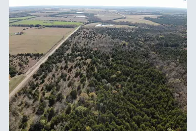 Tract 16 County Road 2960, Honey Grove, TX 75446 - Photo 10