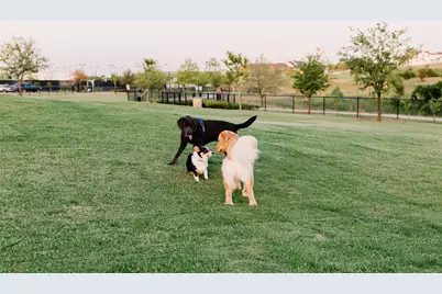 14225 Walsh Avenue, Fort Worth, TX 76008 - Photo 32