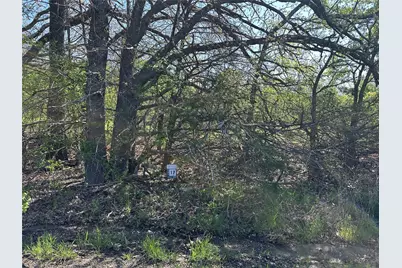 Tract 17 County Road 2960, Honey Grove, TX 75446 - Photo 22