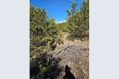 242.442 Acres Mc Clure Ranch Road, Gordon, TX 76453 - Photo 10