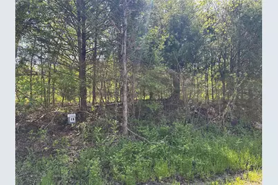 Tract 18 County Road 2960, Honey Grove, TX 75446 - Photo 2