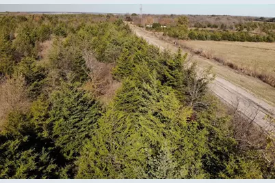 Tract 18 County Road 2960, Honey Grove, TX 75446 - Photo 8