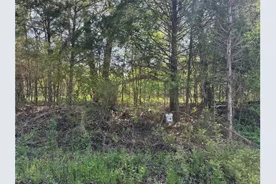 Tract 18 County Road 2960, Honey Grove, TX 75446 - Photo 4