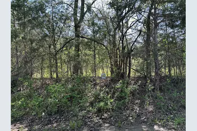 Tract 19 County Road 2960, Honey Grove, TX 75446 - Photo 24