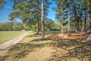 1383 Fm 3266, Palestine, TX 75801 - Photo 10