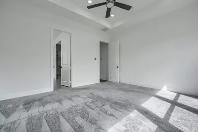 3691 Spruce Hills Street, Frisco, TX 75033 - Photo 16