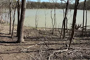 Tbd Pr 484, Hillsboro, TX 76645 - Photo 1