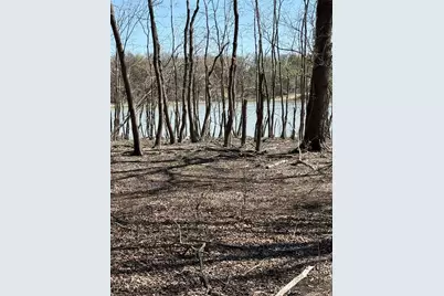 Tbd Pr 484, Hillsboro, TX 76645 - Photo 2