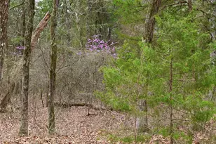 2211 Fm 2029, Telephone, TX 75488 - Photo 6