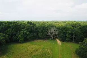 2211 Fm 2029, Telephone, TX 75488 - Photo 12