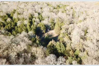 3842 Fm 2029, Telephone, TX 75488 - Photo 12