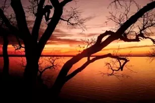 232 Northwood Dr, Flower Mound, TX 75022 - Photo 36