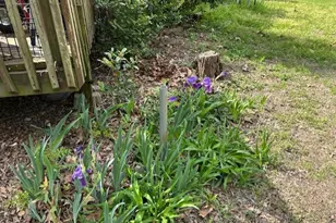 167 Co Rd 2244, Mineola, TX 75773 - Photo 24