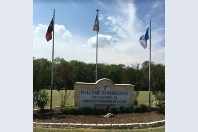 1703 Sorghum Drive, Princeton, TX 75407 - Photo 24
