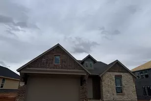 1217 Colca Dr, Springtown, TX 76082 - Photo 2