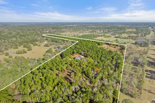 22924 County Rd 223, Arp, TX 75750 - Photo 38