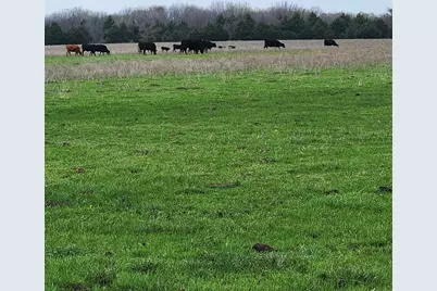 00 W Hinton Street, Tioga, TX 76271 - Photo 2