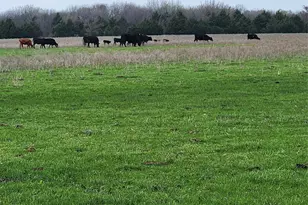 00 W Hinton St, Tioga, TX 76271 - Photo 1