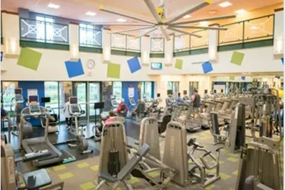 8978 Shore Crest Drive, Frisco, TX 75036 - Photo 34