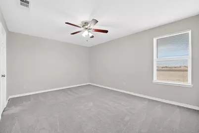 312 Meadow View Lane, Anna, TX 75409 - Photo 30