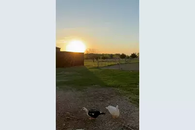 2515 County 141 Road, Kaufman, TX 75142 - Photo 34