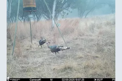 3000 Nech Ranch Court, Granbury, TX 76048 - Photo 20