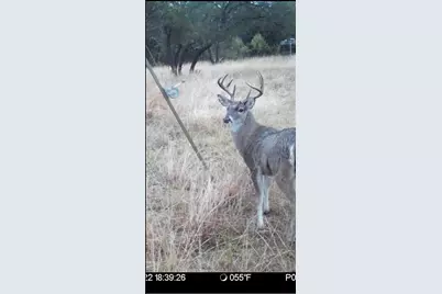 3000 Nech Ranch Court, Granbury, TX 76048 - Photo 34