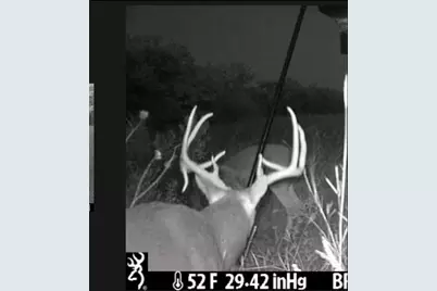 3000 Nech Ranch Court, Granbury, TX 76048 - Photo 36